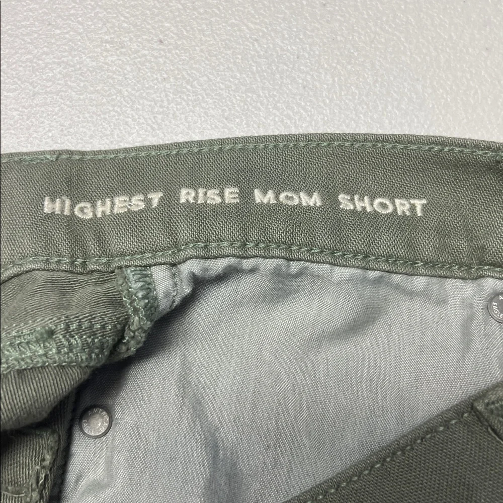 American Eagle Outfitters Green Distressed Jean Shorts